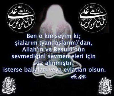 zulfikar_Bremen's profile picture. 