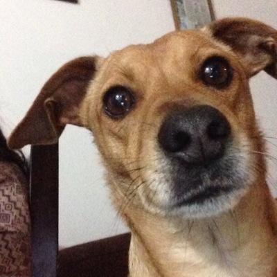 ehpvc16156636's profile picture. 