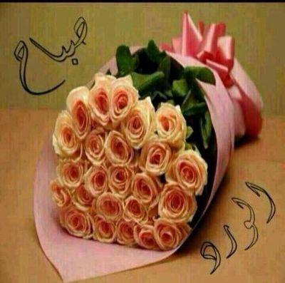 sbgcbdc's profile picture. 