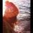 carovivancoa's profile image