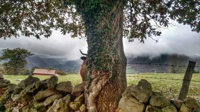 Fitin1968's profile picture. Y si fuera mi vida una escalera me la he pasado entera buscando el siguiente escalon!!!!