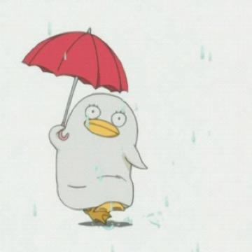チキ°さんのプロフィール画像