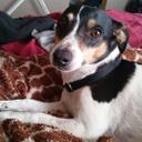 Jeffrey Mah - @jeffreymah444 - Twitter