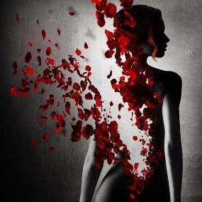 phialabuschagne's profile picture. I am who I am, I'm weird, I'm lame, I run into things, I spill food, I trip, I scream about random & stupid stuff. But, I like it that way!