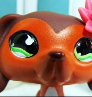 Hey im savvanna reed i am 10 and i am sophiegtvs cousin i help her make lps popular and i know it takes so long to upload but its just all the filming :)