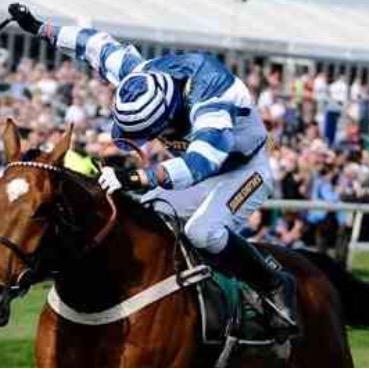 Daily advice and tips on horse racing to keep you in profit. 

if you want more then just the daily tip, then click on our link to gain access to more tips !