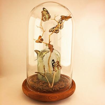 Handmade | Eco-Friendly | Artistic Lepidoptery http://t.co/iIDmP4szl0