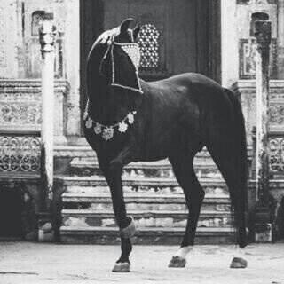 ‏‏نحن لانقوى النار فلنعمل للجنه☁                                                                      #لن_ننسى_ZD4