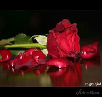 ‏‏َرﺑّﻲ . . ♥
ﺇﻧّﻲ ﺑﻌَﻈَﻤﺘِﻚّ ﺃﺣَﺘﺎﺟُﻚ ﺩَﻭﻣﺎً ،
ﻓـ ؛ ﺃﺣّﻔﻈَﻨﻲ ﻋَﻦْ ﻣَﺎ ﻳﻀﺮﻧَﻲ ~
