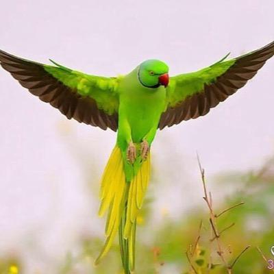 اللَّهُمَّ قِنِي عَذَابَكَ يَوْمَ تَبْعَثُ عِبَادَكَ ...( لاتلف ولاتدور مردك للقبور )