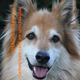 kreativgut's profile picture. Mal kunterbunt. Mal schwarz. Mal weiß. Mal kreativlustvoll. Mal inspirationslosleer. Mal hohe Luftschlossbauerin. Mal Höhlenwanderin. Aber immer mit Herz dabei!