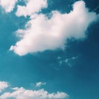 شهد (@mjam245) Twitter profile photo