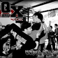 Q-MARUX Official (@qmarux_hc) 's Twitter Profile