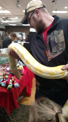 Owner of Incredible Reptiles. Specializing in all types of Lizards and Snakes/Amphibians. Like us on Facebook.