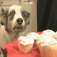 ElGee777's profile picture. 