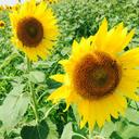 ☺︎☺︎☺︎ (@0603Gu) Twitter