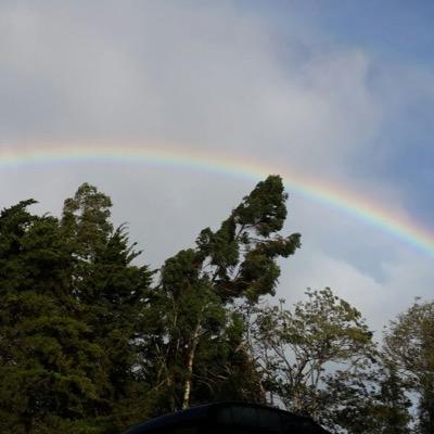 kriziaj's profile picture. 