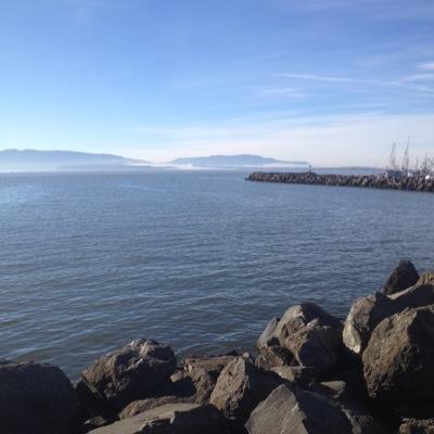 hfcratz's profile picture. 