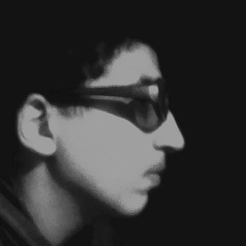 Motion Graphic Designer.          
                      Jr.Logo Designer