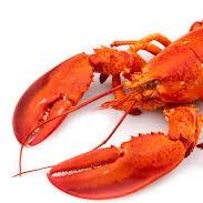 FOOD, MONEY, COOKING, THIS ACOUNT LOVES IT ALL