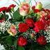 00000000 (@00970568510851) Twitter