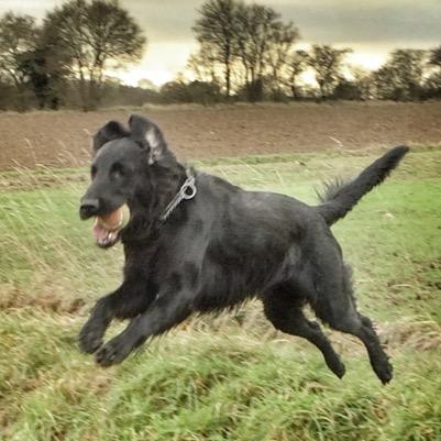 adamlubbock's profile picture. 