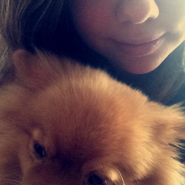 andylynnl's profile picture. 