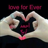 Batool Ahmed (@70076de88cba4f3) 's Twitter Profile