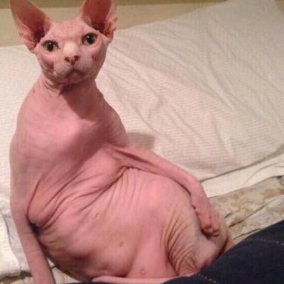 kalliforniaaaa_'s profile picture.