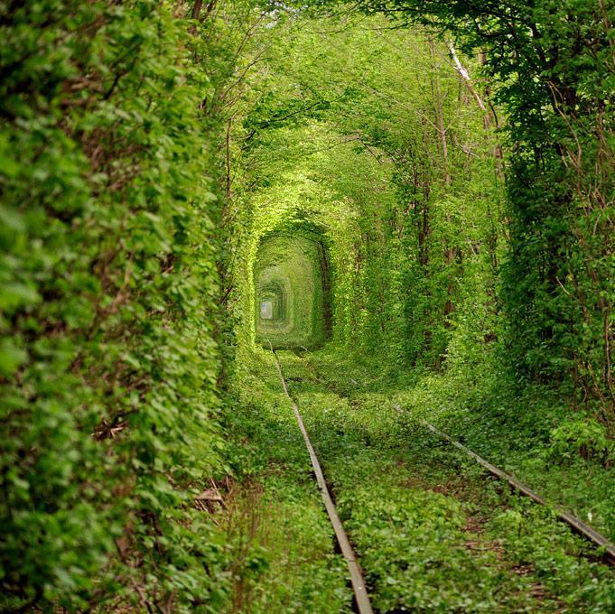 Kanyuka96's profile picture. 