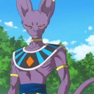 I am Lord Beerus. the god of destruction. don't anger me or I will destroy you