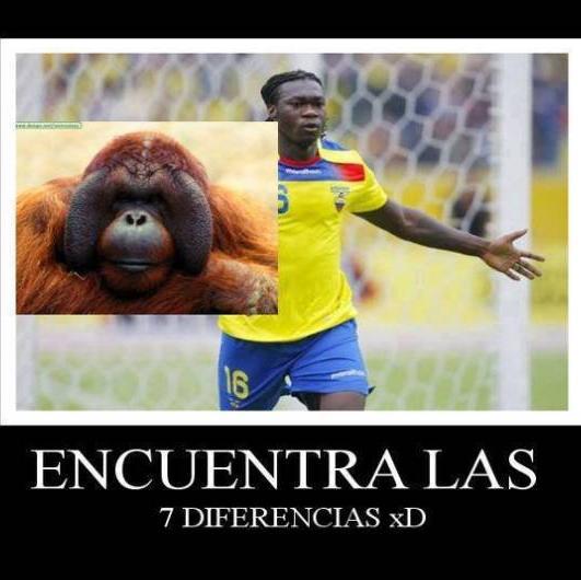 Soy Ecuatoriano, estoy orgulloso de mi pais por todas nuestras Copas America. Y por nuestra inmensa variedad de monos. Gracias Tricolor.