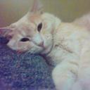 Daniela Corrales  - @daniela67291260 - Twitter