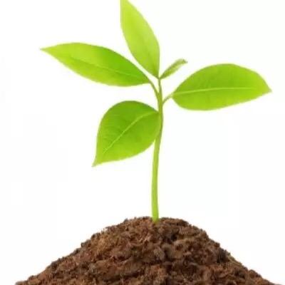 OrganicFacts_'s profile picture. 