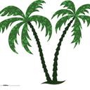 Liz Johns - @TropicallizLiz - Twitter