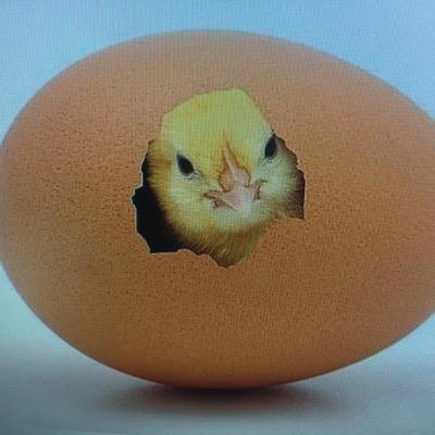 Topomingo Profile Picture