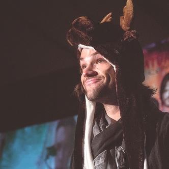 AmoosingSammy's profile picture. #SPNFamily Personal acc : @AmerrickanIdi0t