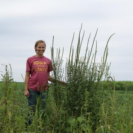 ISU Extension Field Agronomist in Central IA. Loves agriculture and all things weeds related. Occasional tweets about Cyclone sports. Opinions are mine!