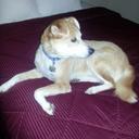 Janet Priebe - @PriebeJanet - Twitter