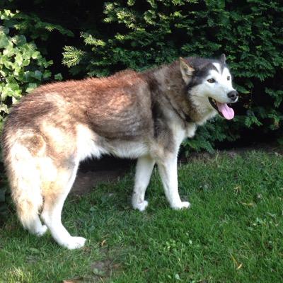 miker_be_like's profile picture. 