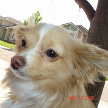 Fonziebel's profile picture. 