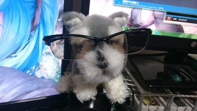 0cm1fy0w725406f's profile picture. ボウリング、時々ダーツ後にフットサルをやるでしょう(笑)