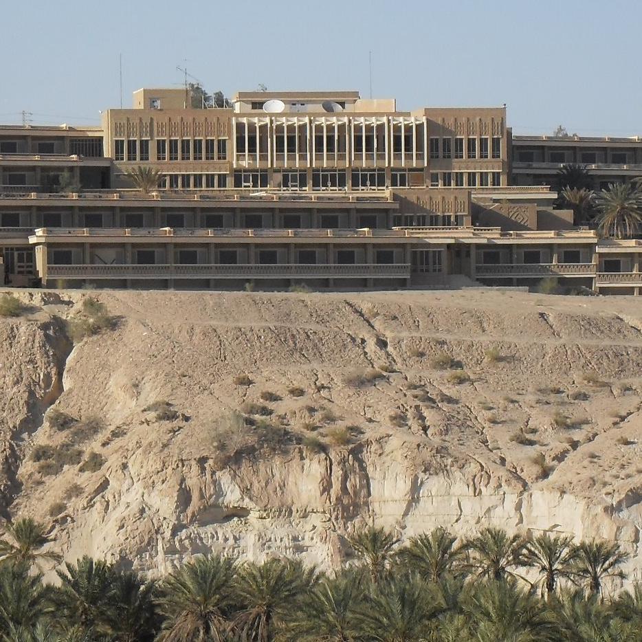 hedihamda's profile picture. 