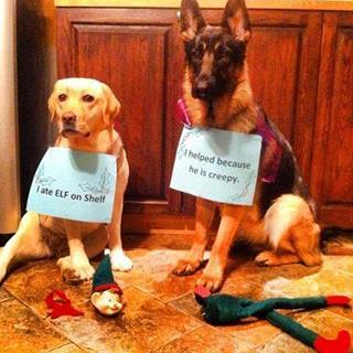 lkrudd88's profile picture. 