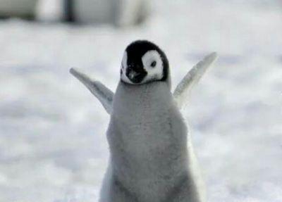 bleh im a kool person....i think{o_O}