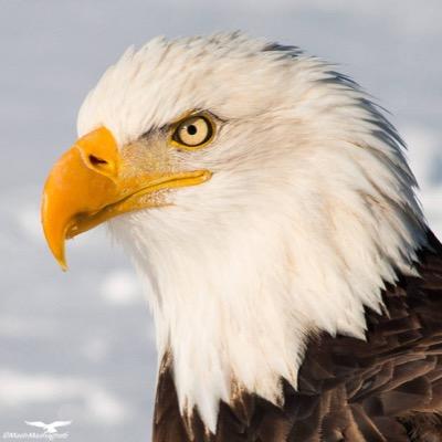 littlemocs's profile picture. 