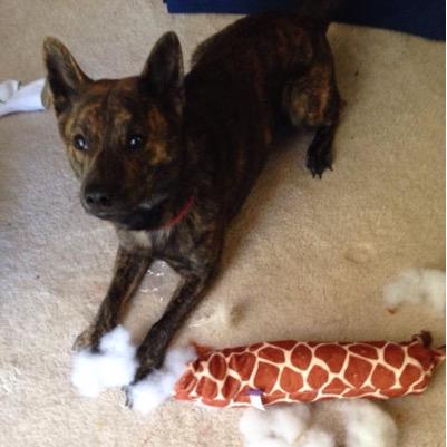 neilmorrissette's profile picture. 