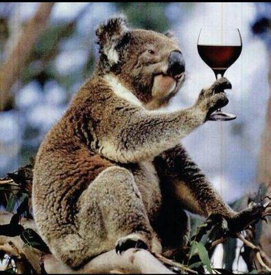 at_zlt's profile picture. 