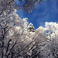 Long Winter Media (@longwintermedia) 's Twitter Profile Photo