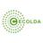 CECOLDA's profile image
